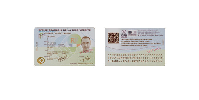 OFB Permis chasser grand