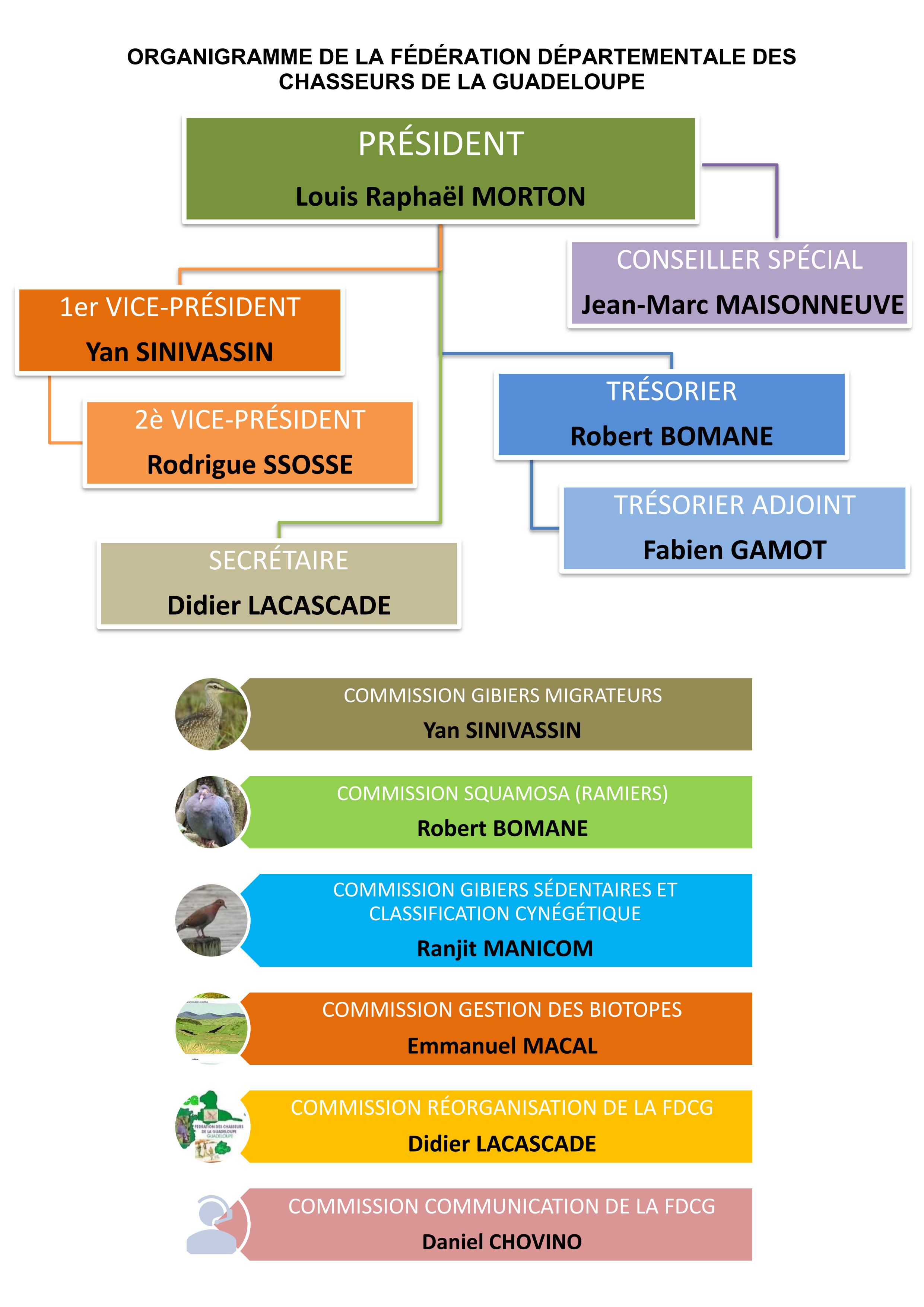 Organigramme 2023 vf