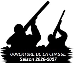 images chasse